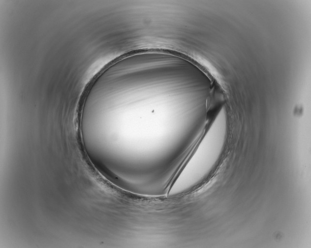 X0000090430885200708102003