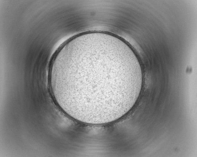 X0000090430886200708102003