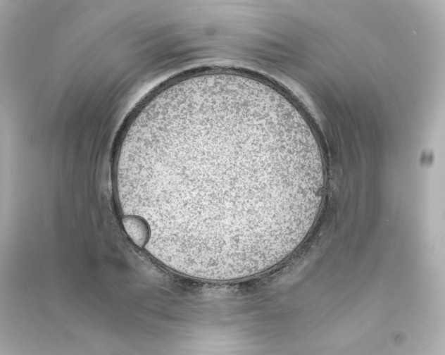 X0000090430887200708102002
