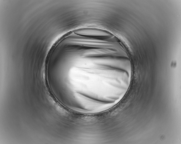 X0000090430888200708102002