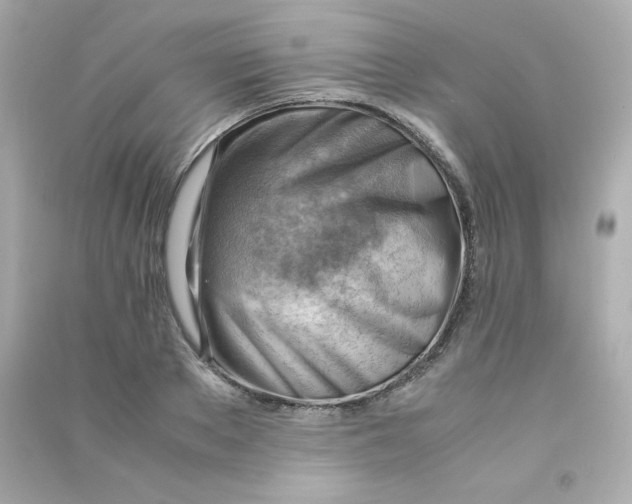 X0000090430889200708102002