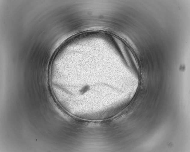 X0000090430890200708102002