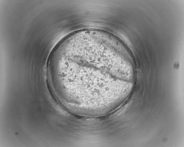 X0000090430891200708102002