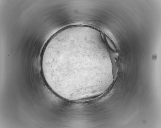 X0000090430892200708102002
