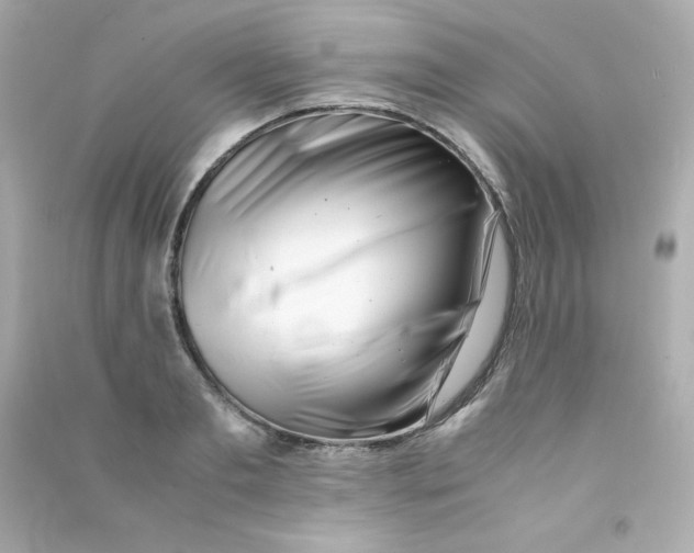 X0000090430893200708102002