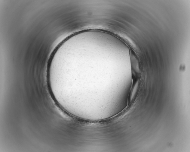 X0000090430894200708102002