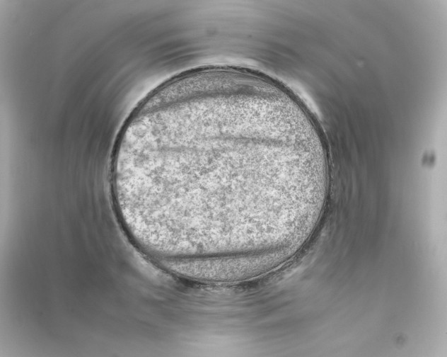 X0000090430895200708102002
