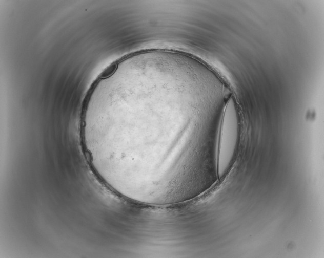 X0000090430896200708102002