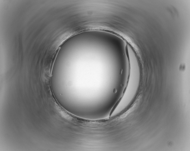 X0000090430897200708102002