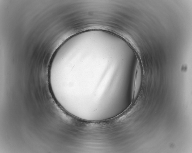X0000090430898200708102002