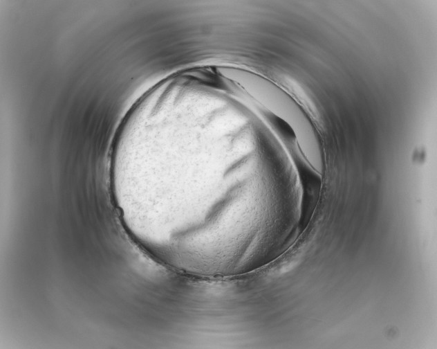 X0000090430900200708102002