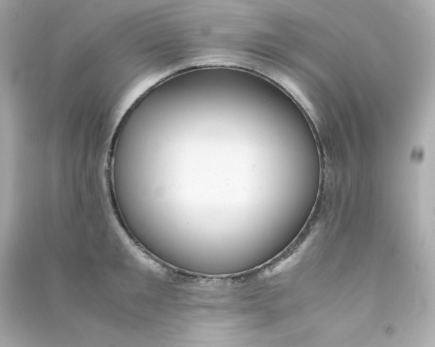 X0000090430901200708102002