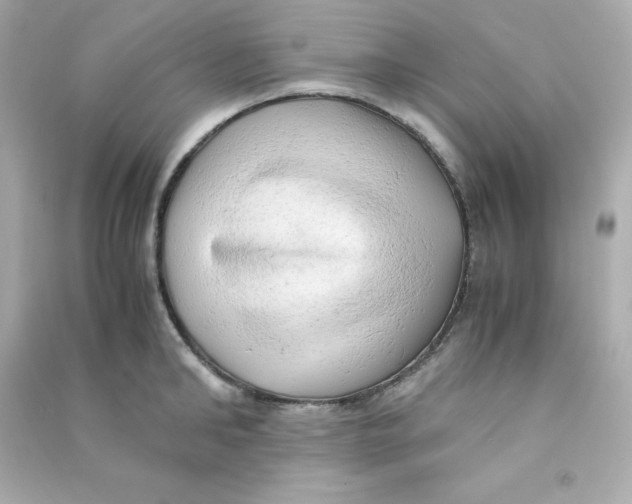 X0000090430902200708102002