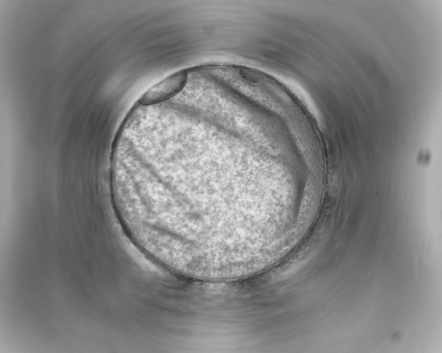 X0000090430903200708102002