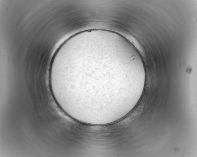 X0000090430904200708102002