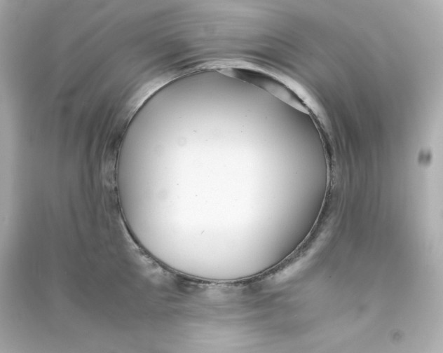 X0000090430905200708102002