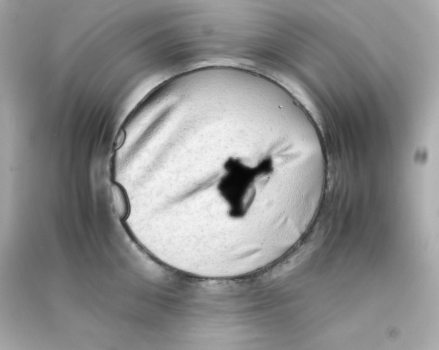 X0000090430906200708102002