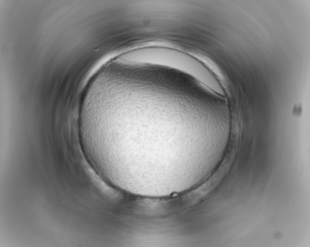 X0000090430910200708102002
