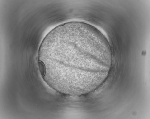 X0000090430911200708102002