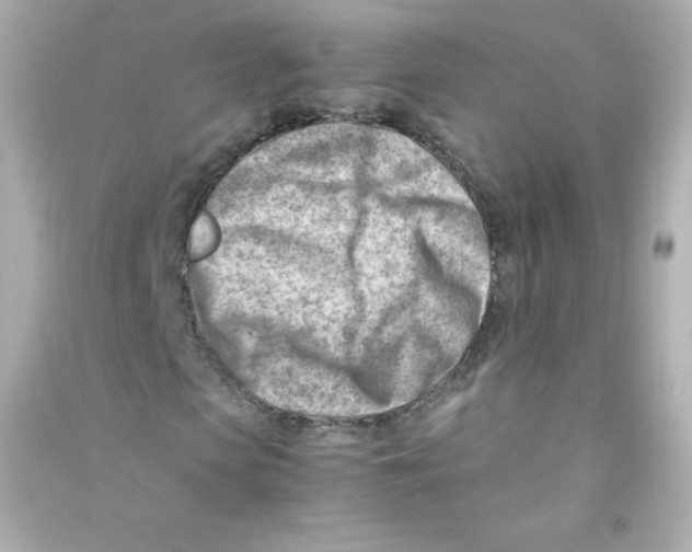 X0000090430913200708102001