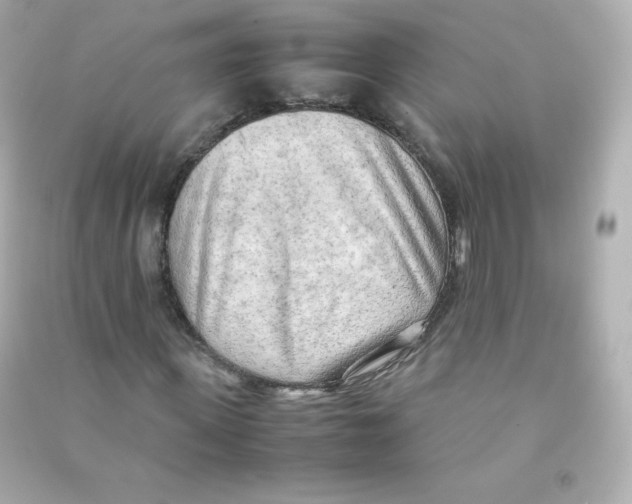 X0000090430915200708102001