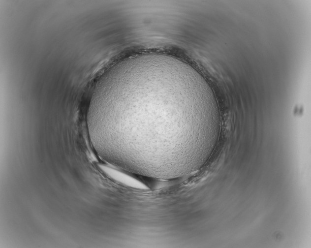 X0000090430916200708102001