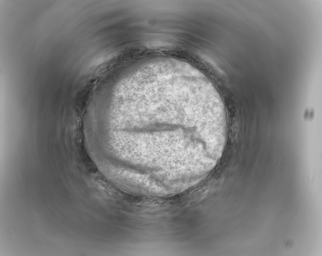 X0000090430917200708102001
