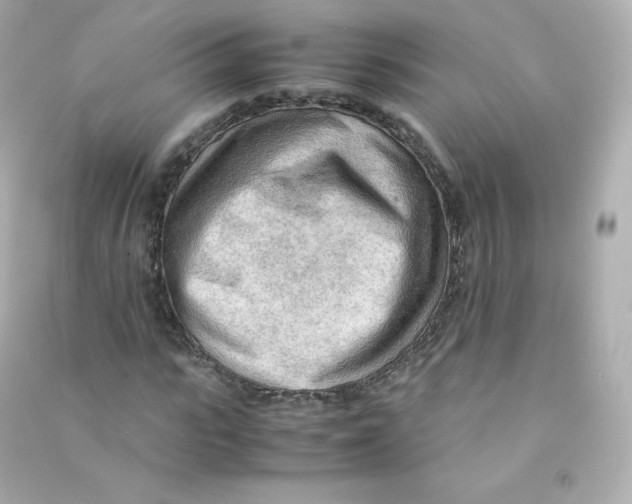 X0000090430919200708102001
