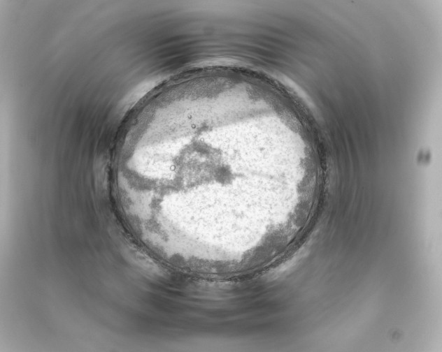 X0000090430921200708102001