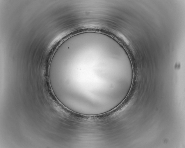 X0000090430922200708102002