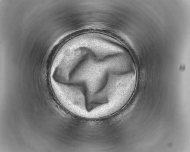X0000090430923200708102002