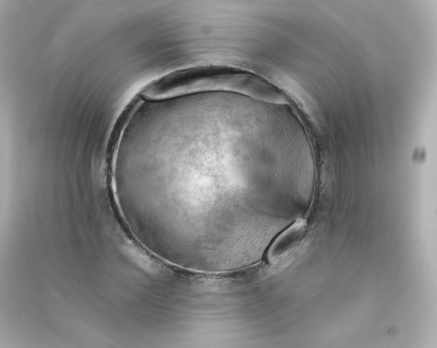 X0000090430924200708102002