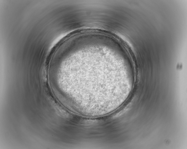 X0000090430925200708102002