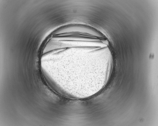 X0000090430926200708102002