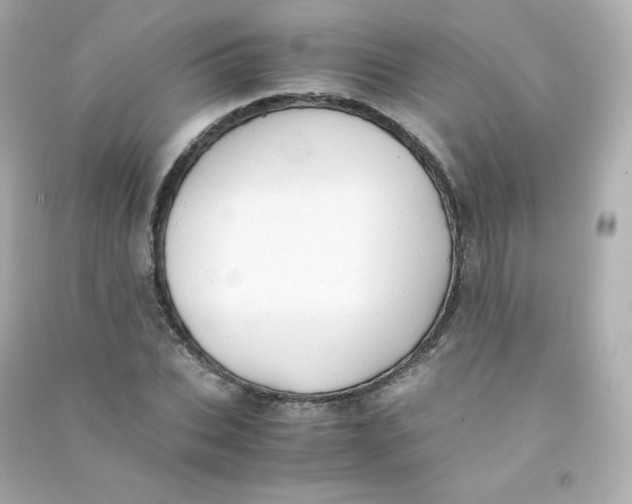 X0000090430927200708102002