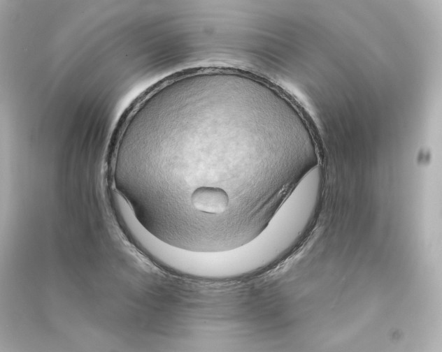 X0000090430928200708102002
