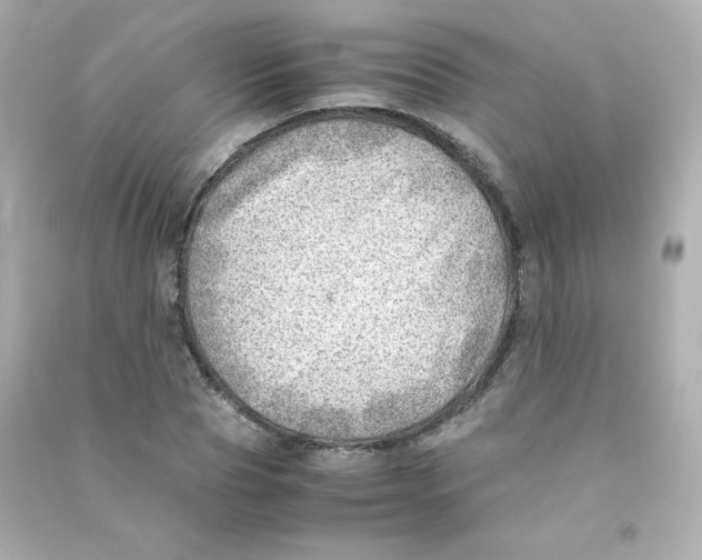 X0000090430929200708102002