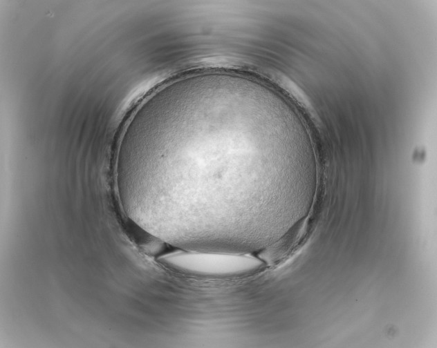 X0000090430930200708102002