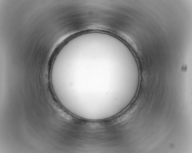 X0000090430931200708102002