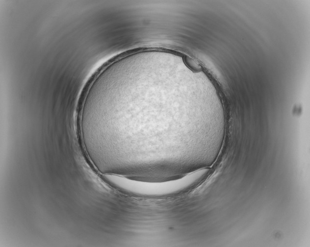 X0000090430932200708102002