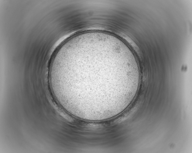 X0000090430933200708102002
