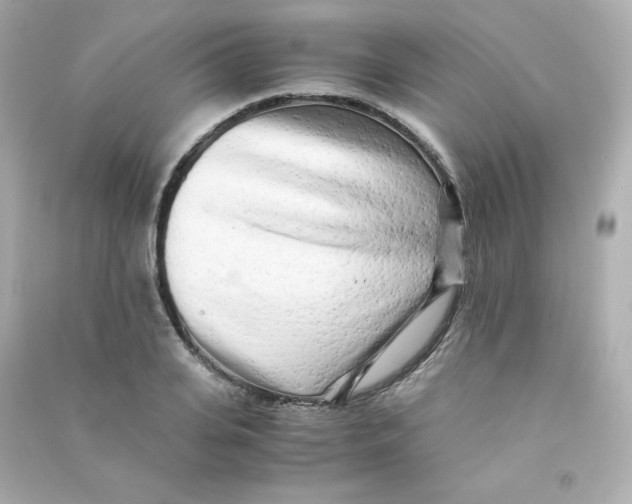 X0000090430935200708102002