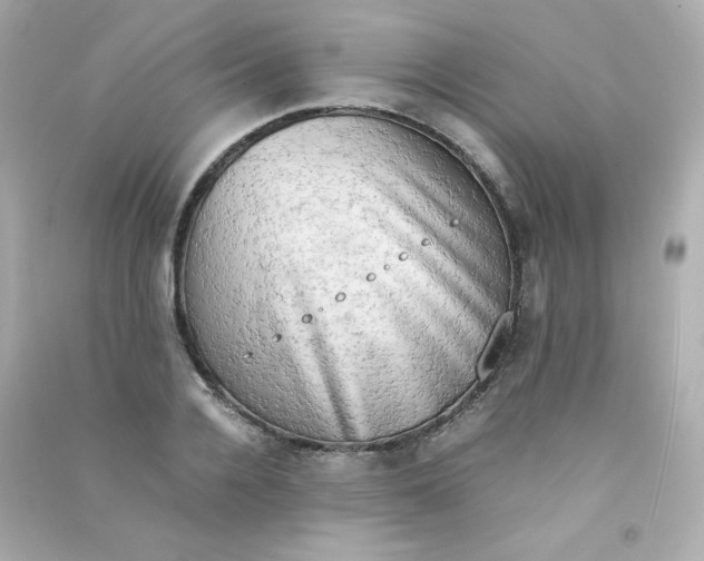 X0000090430936200708102002