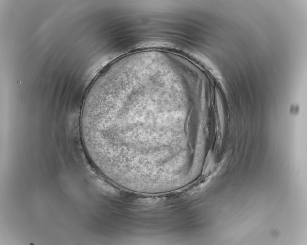 X0000090430937200708102002