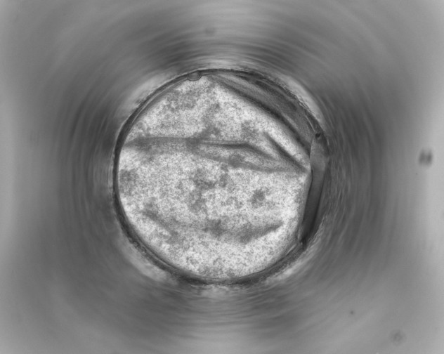 X0000090430938200708102002