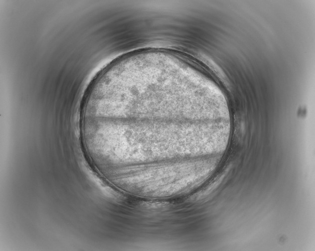 X0000090430939200708102002