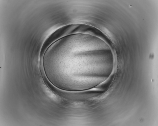 X0000090430940200708102002