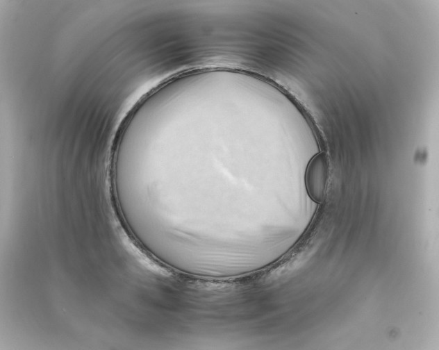 X0000090430941200708102002