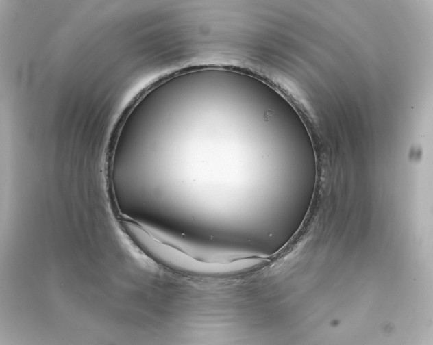 X0000090430942200708102002