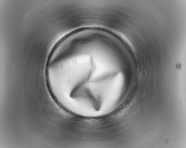 X0000090430943200708102002